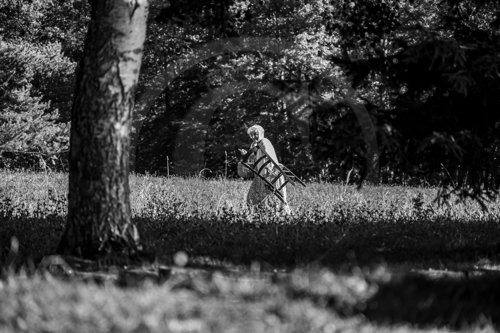 21 aout 2024 : Performance théâtrale d'Annette Chapon