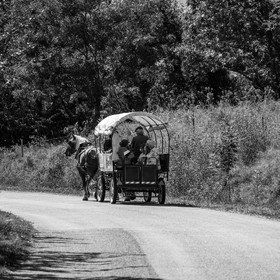 01 septembre 2021 : Promenade en cariole et contes