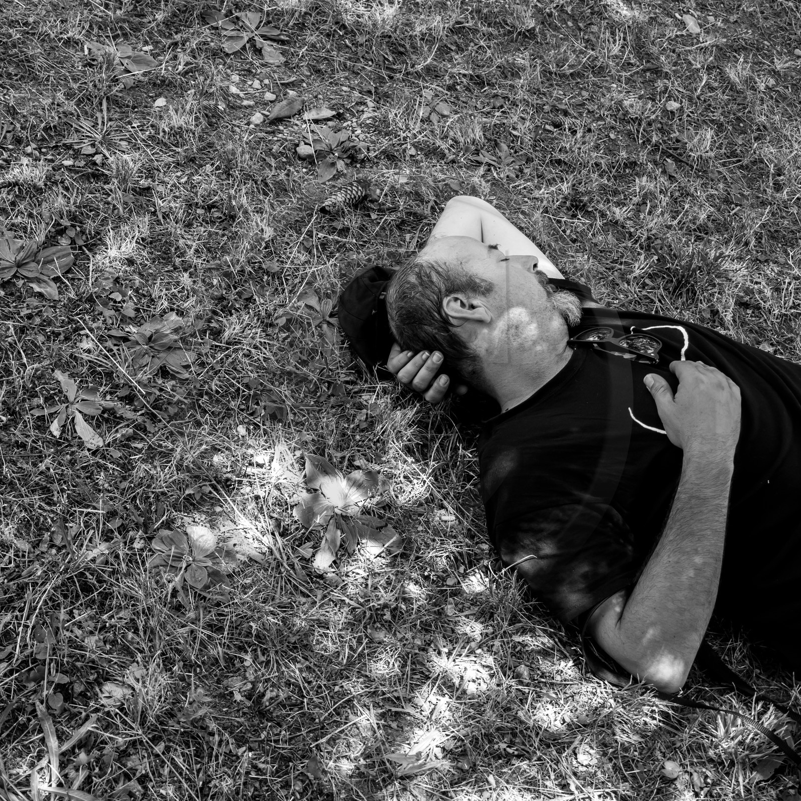 07 août 2017 - Sieste Musicale 07 août 2017 - Sieste Musicale