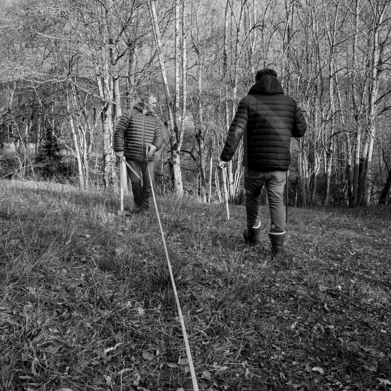 Découverte du jardin le 03 01 2017