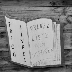 23 avril 2025 : Des oiseaux et des plantes