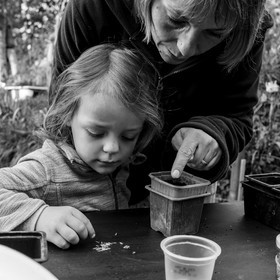 Semis, tournesols et jeux