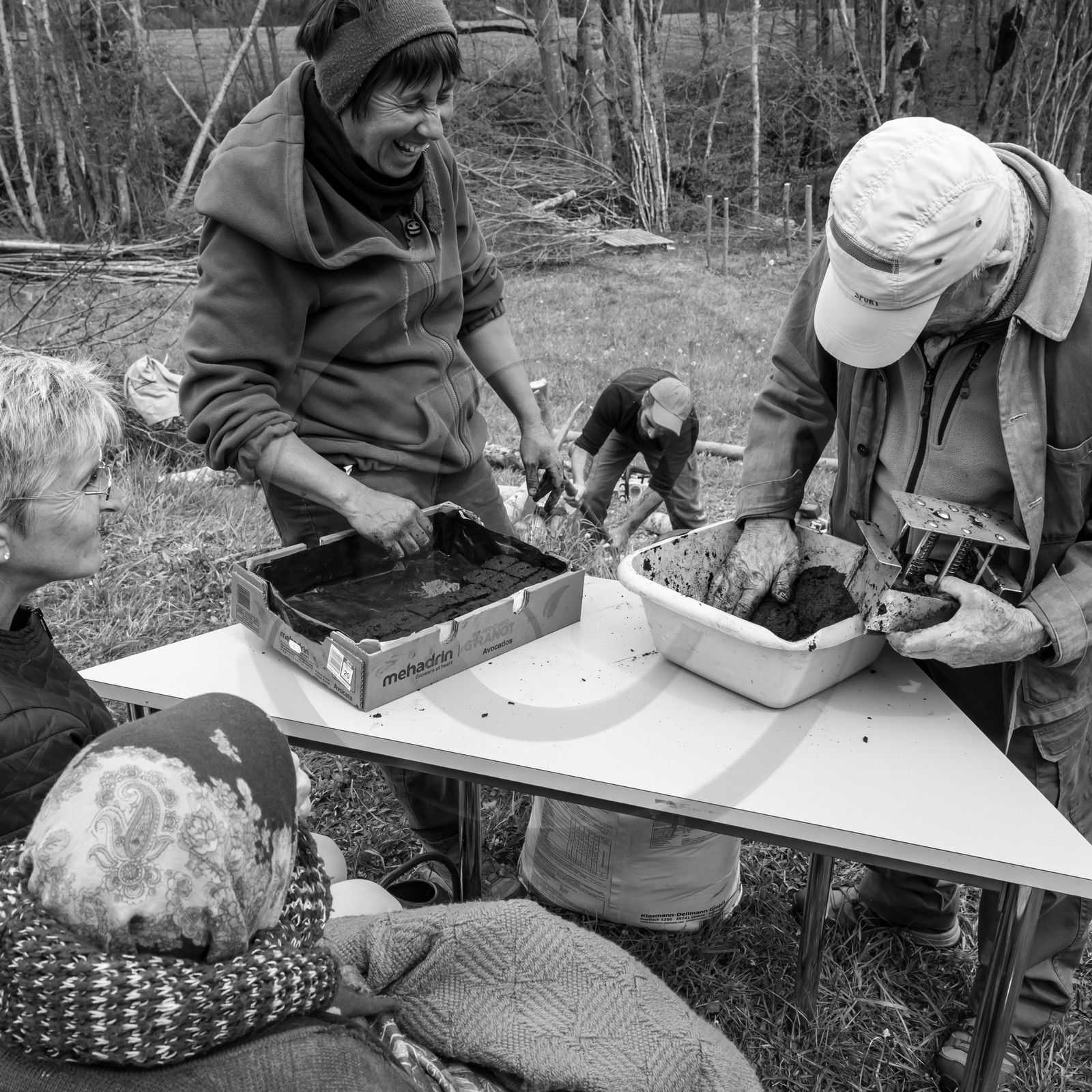 03 mai 2017 - Bac, semis et plantations 03 mai 2017 - Bac, semis et plantations