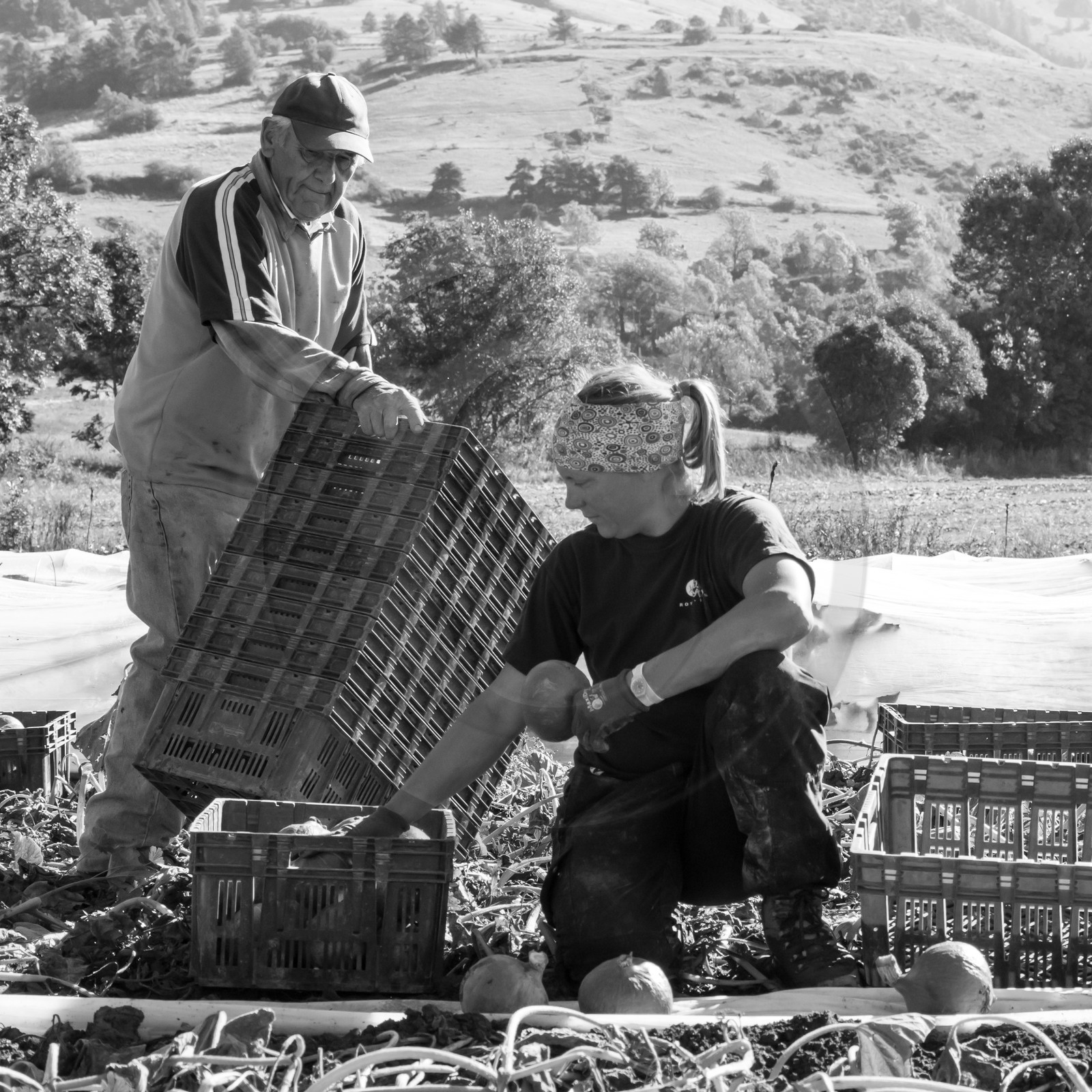 dlebioda-03102016-L1173960.jpg dlebioda-03102016-L1173960.jpg