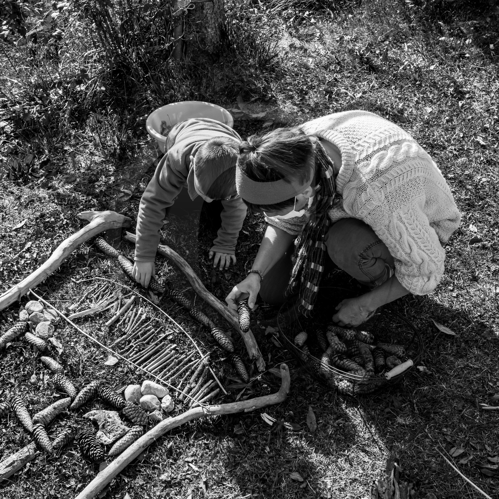 Semis, tournesols et jeux Semis, tournesols et jeux
