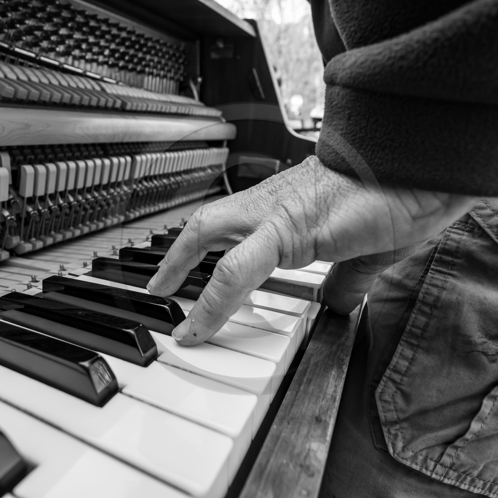 Animation musicale avec Philippe Séranne Animation musicale avec Philippe Séranne