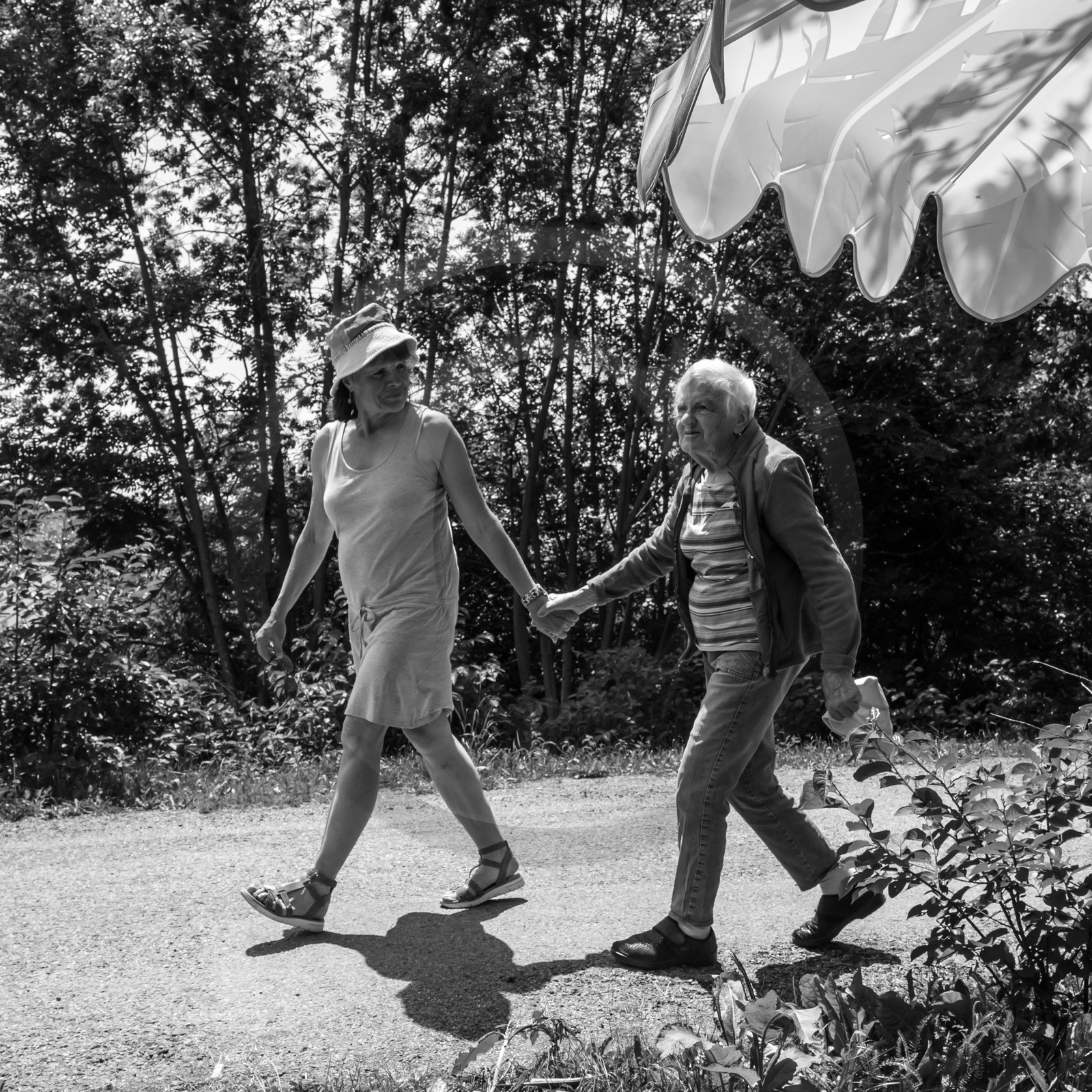 Une après-midi au jardin