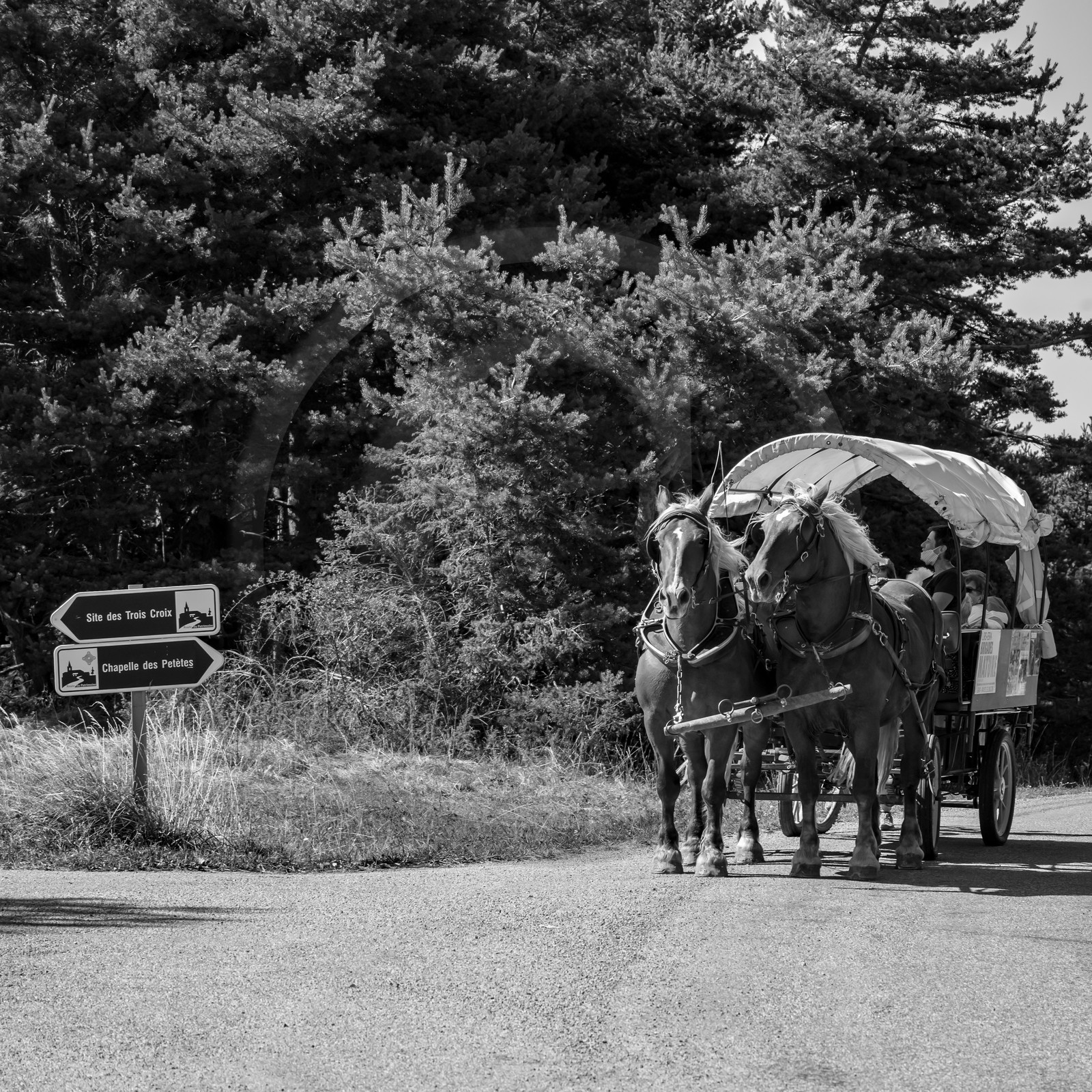 01 septembre 2021 : Promenade en cariole et contes