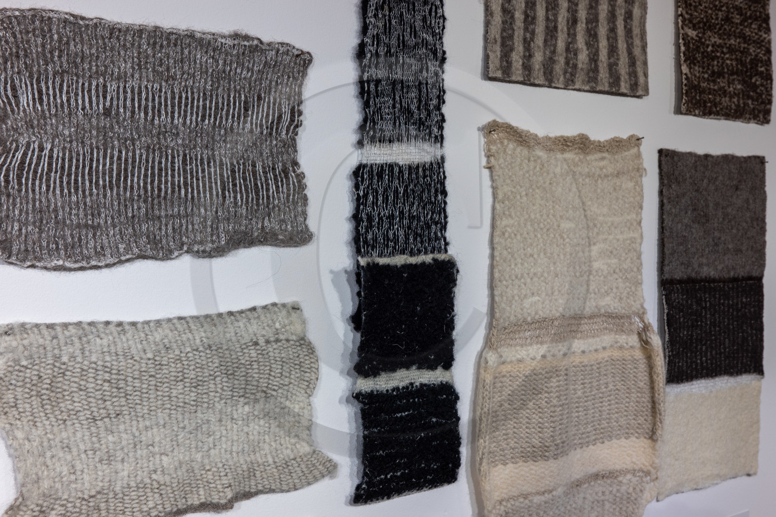 Expositions à la maison du Berger - Champoléon Expositions à la maison du Berger - Champoléon