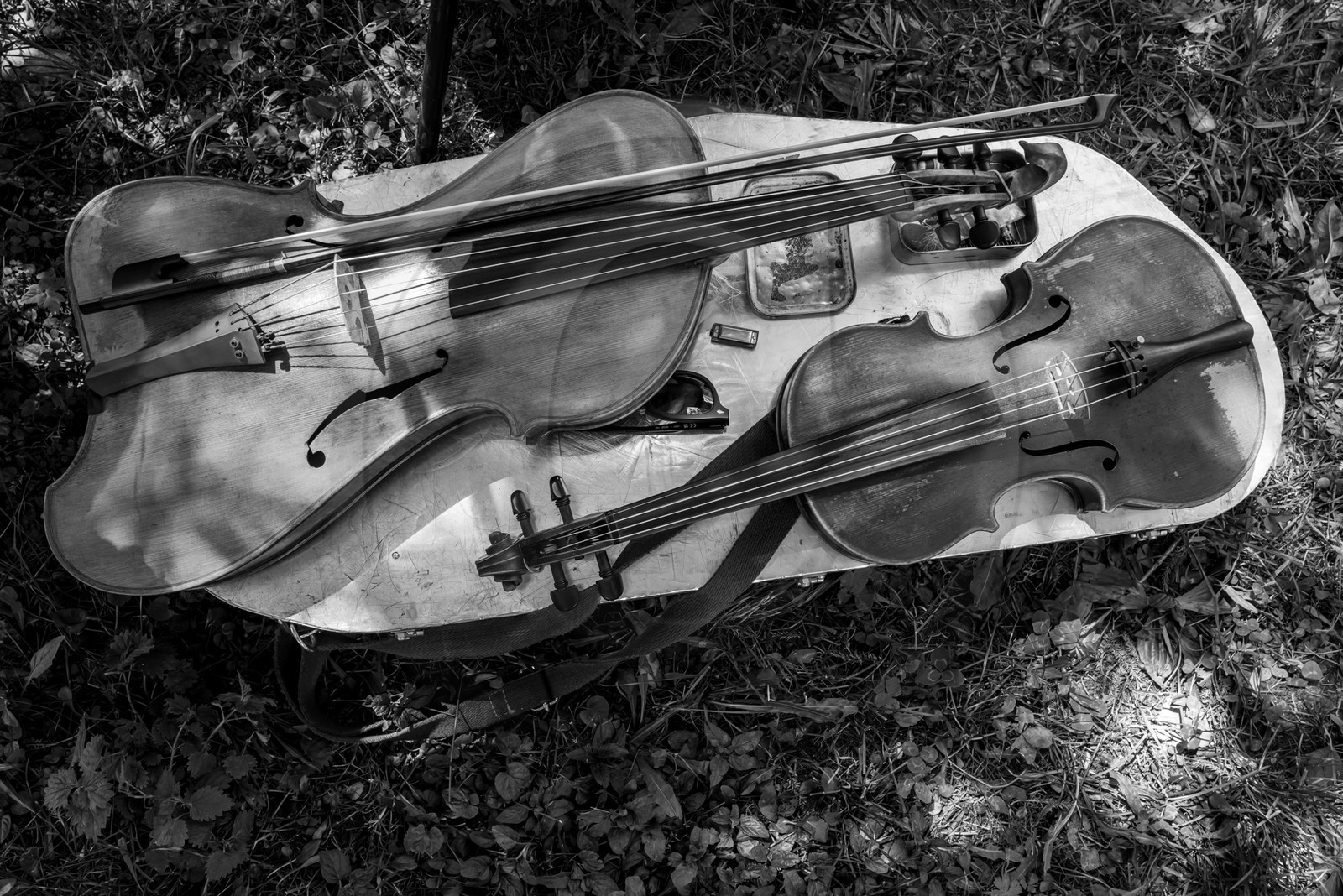 26 juin 2024 : Sieste Musicale avec Balthazar