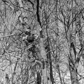 Elagage - 08 03 2017