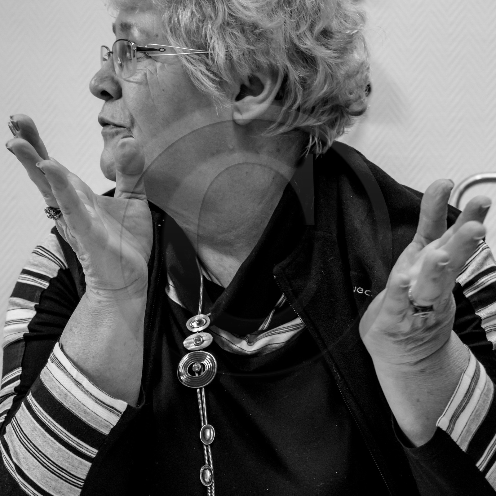 L'Ouort de Bénévent - 27 janvier 2017 L'Ouort de Bénévent - 27 janvier 2017