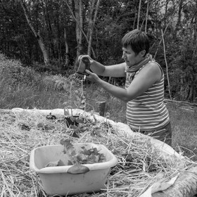 31 mai 2017 - Jardinage