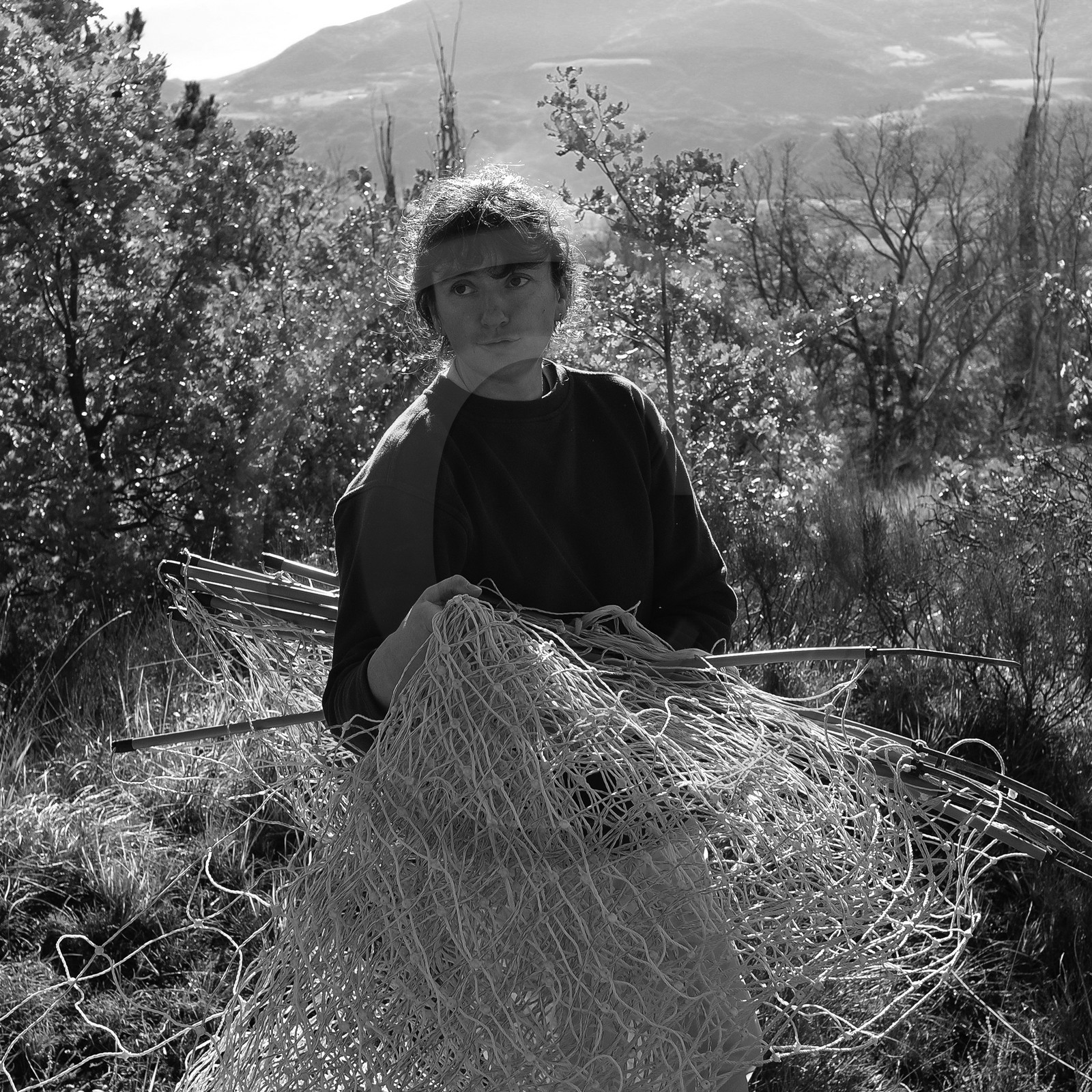 Des moutons et des parcs