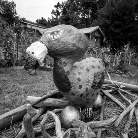 Exposition Alice