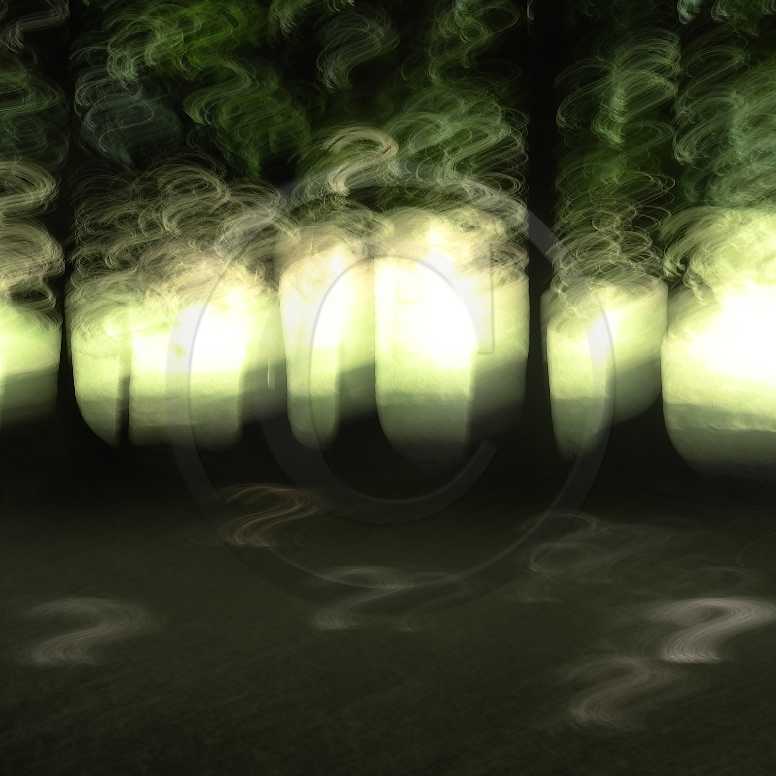 Le Pays des Arbres Flous