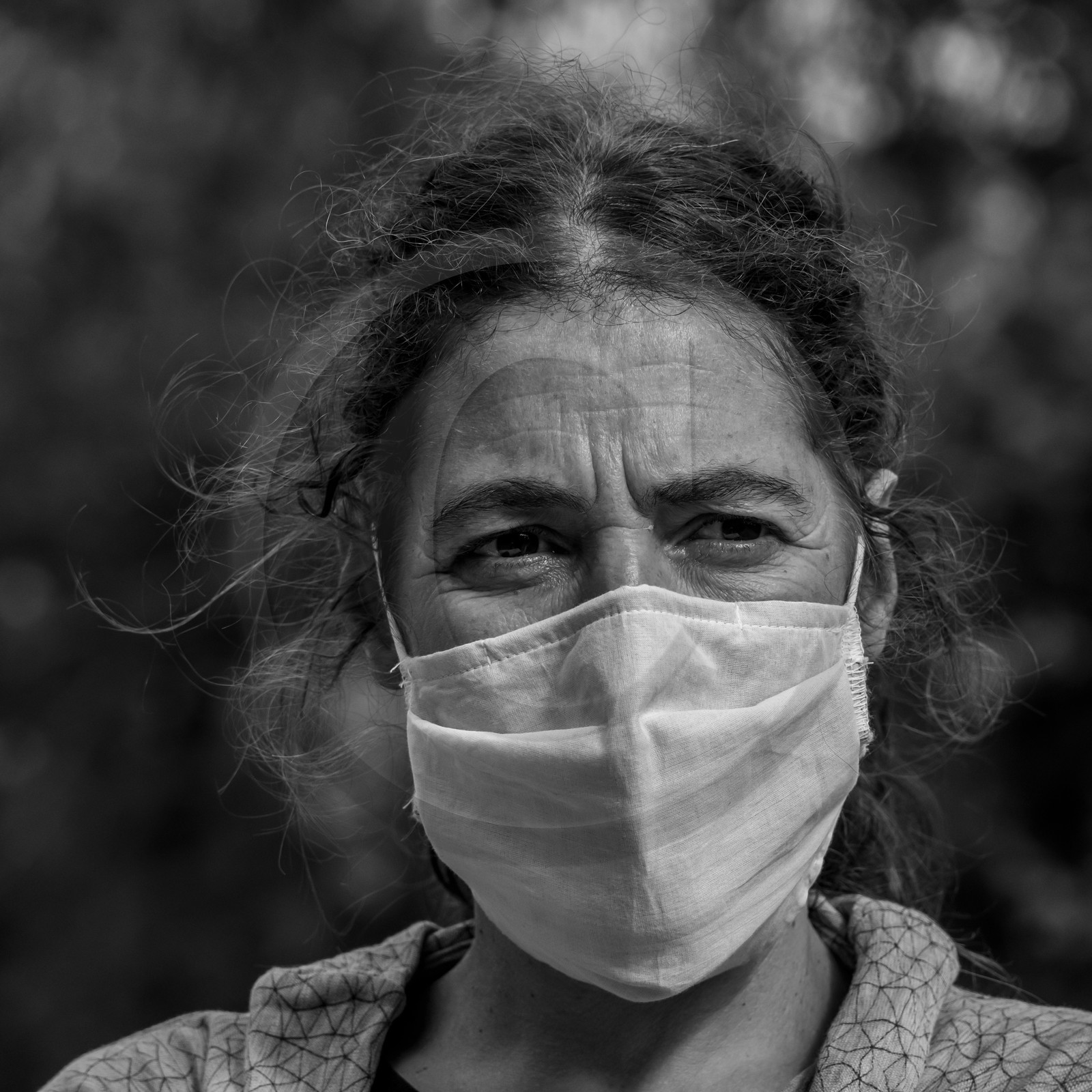 Semis, tournesols et jeux Semis, tournesols et jeux