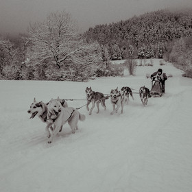 La Valgaude Traineau 2015