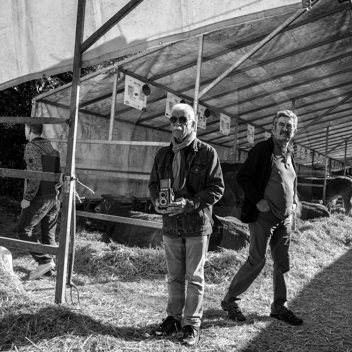 Rencontres paysannes à Saint-Bonnet en Champsaur