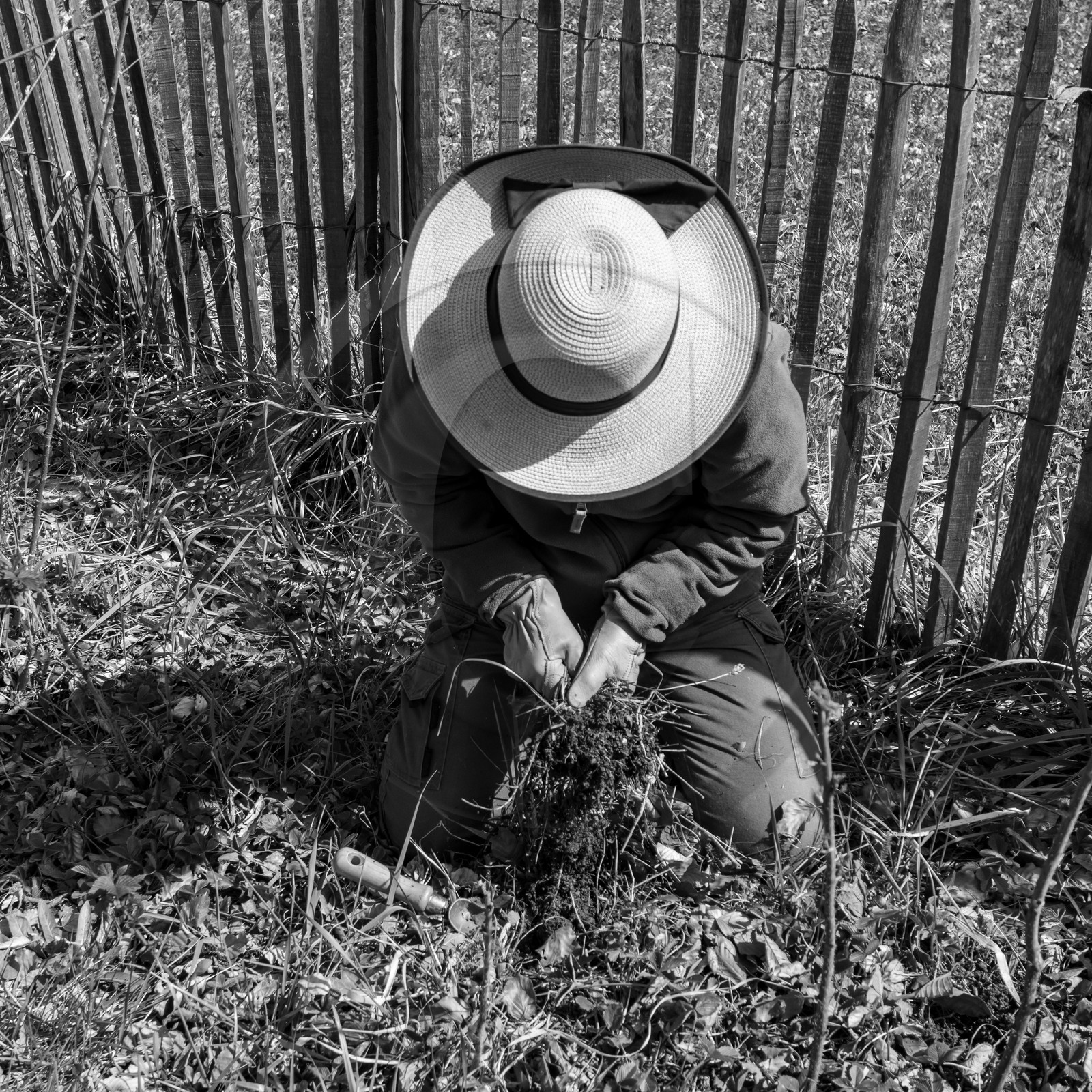 14 avril 2021 : collages, taille, jardinage