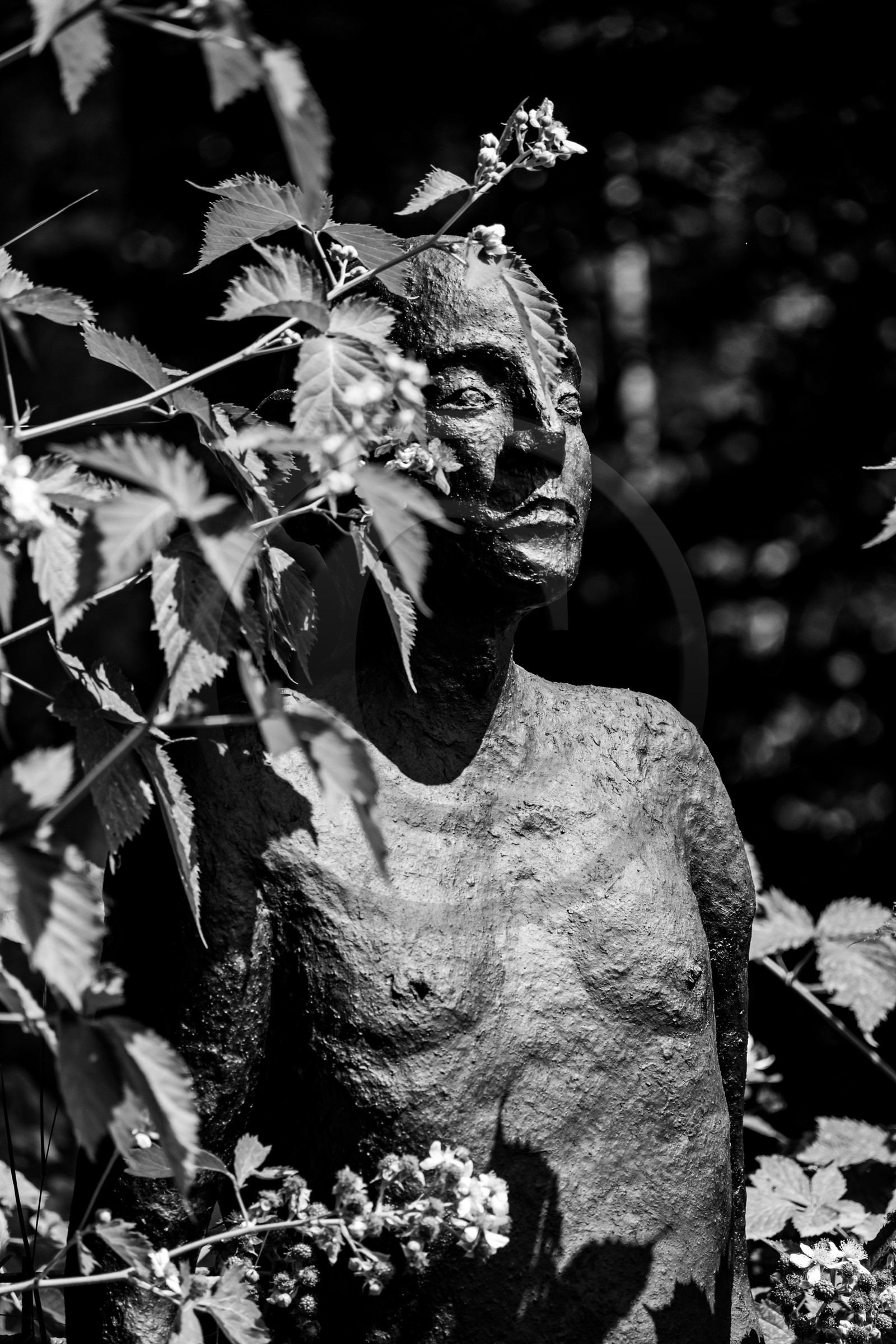 Exposition La forêt d'hommes, une création de Barbara Fougnon, artiste plasticienne Exposition La forêt d'hommes, une création de Barbara Fougnon, artiste plasticienne