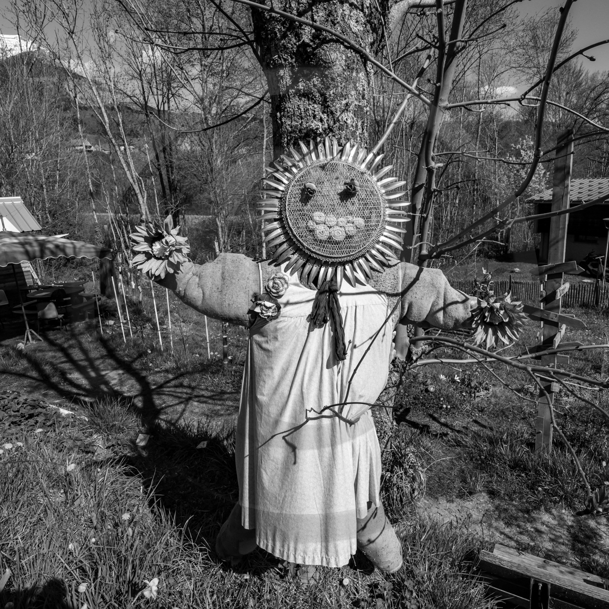 Atelier laine et promenade au jardin