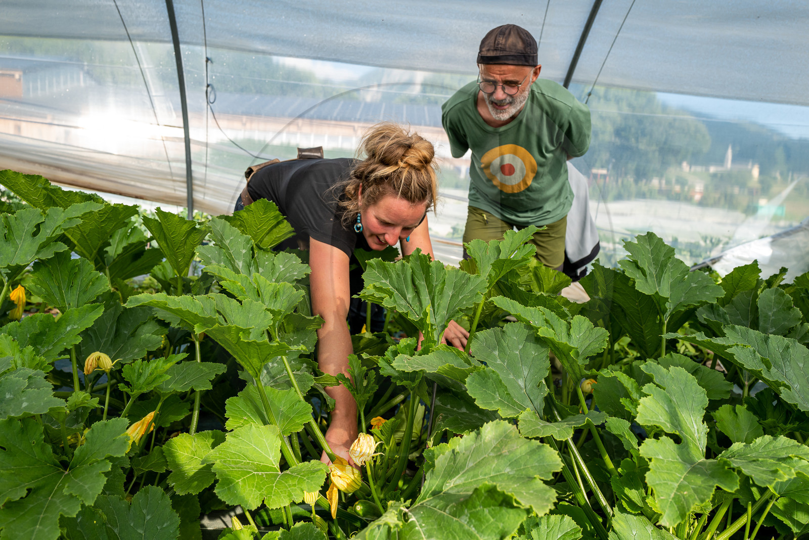 Légumontagne : maraichage biologique à Ancelle