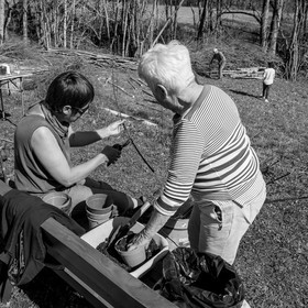 Nettoyage du terrain - Coupe du bois - 29 03 17