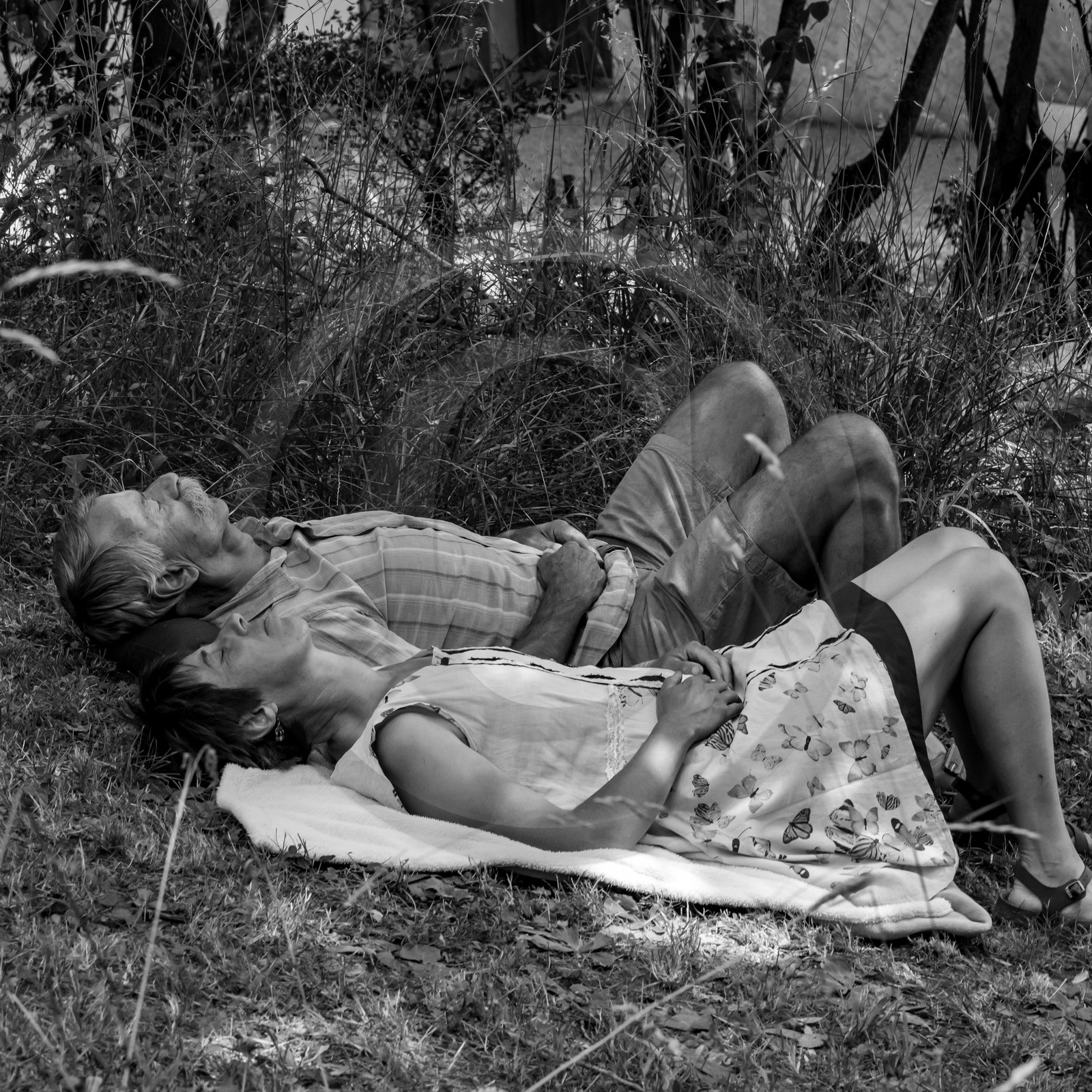 21 juillet 2021 : Sieste musicale avec Matthieu Duval