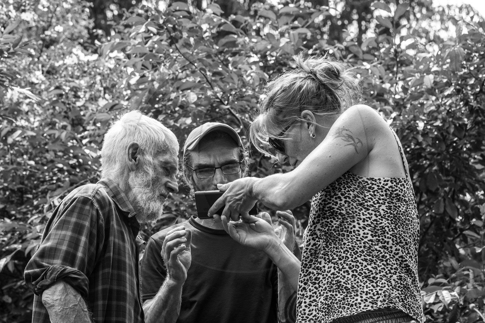 21 juin 2023 : Découverte botanique