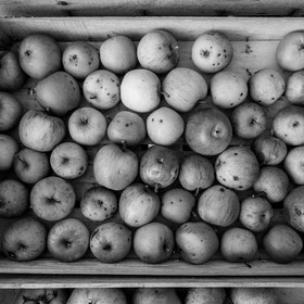 Ramène ta pomme