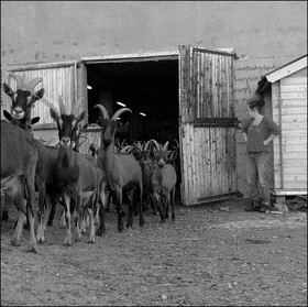 La ferme des Cabrioles