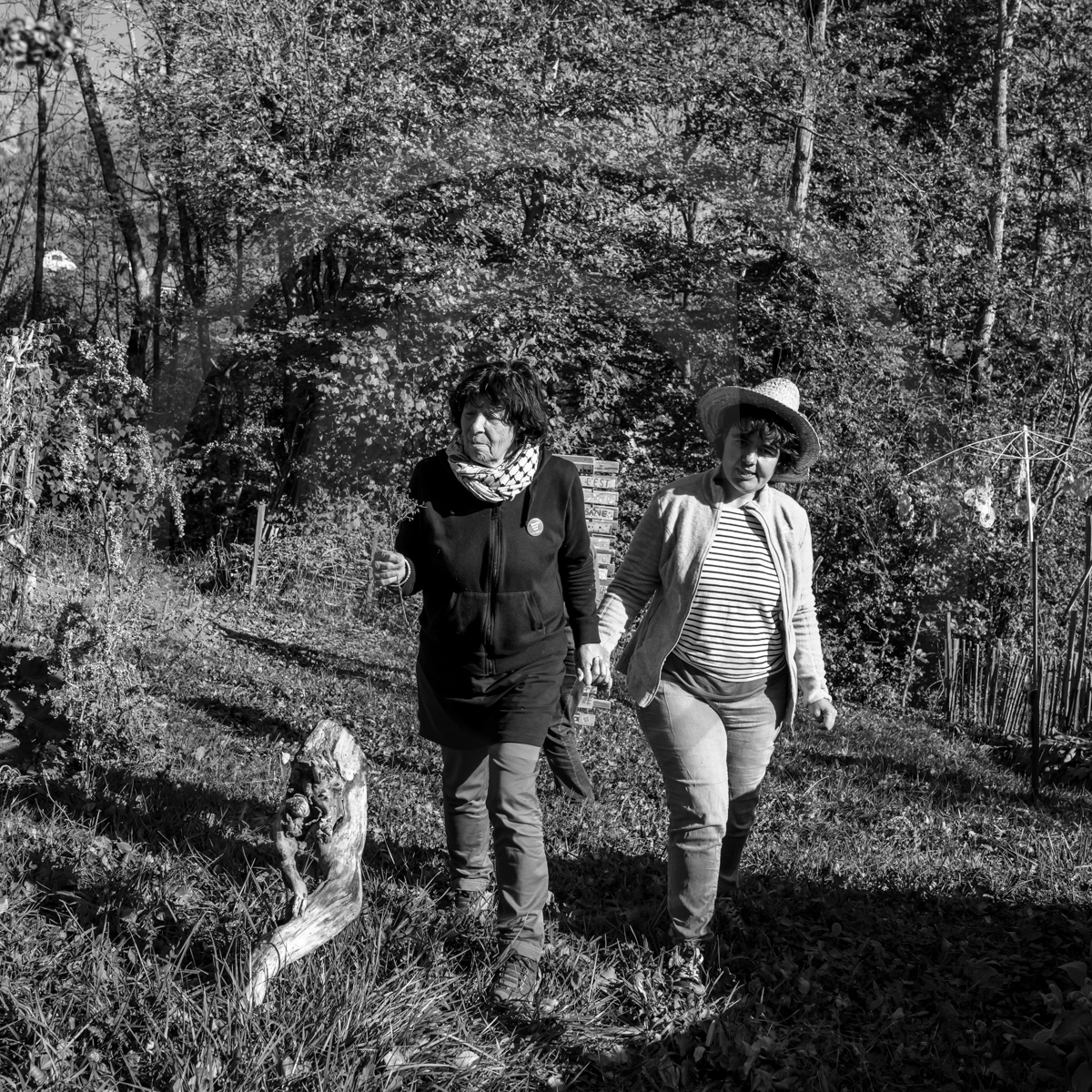 26 octobre 2022 : dernier mercredi de la saison à l'Ouort