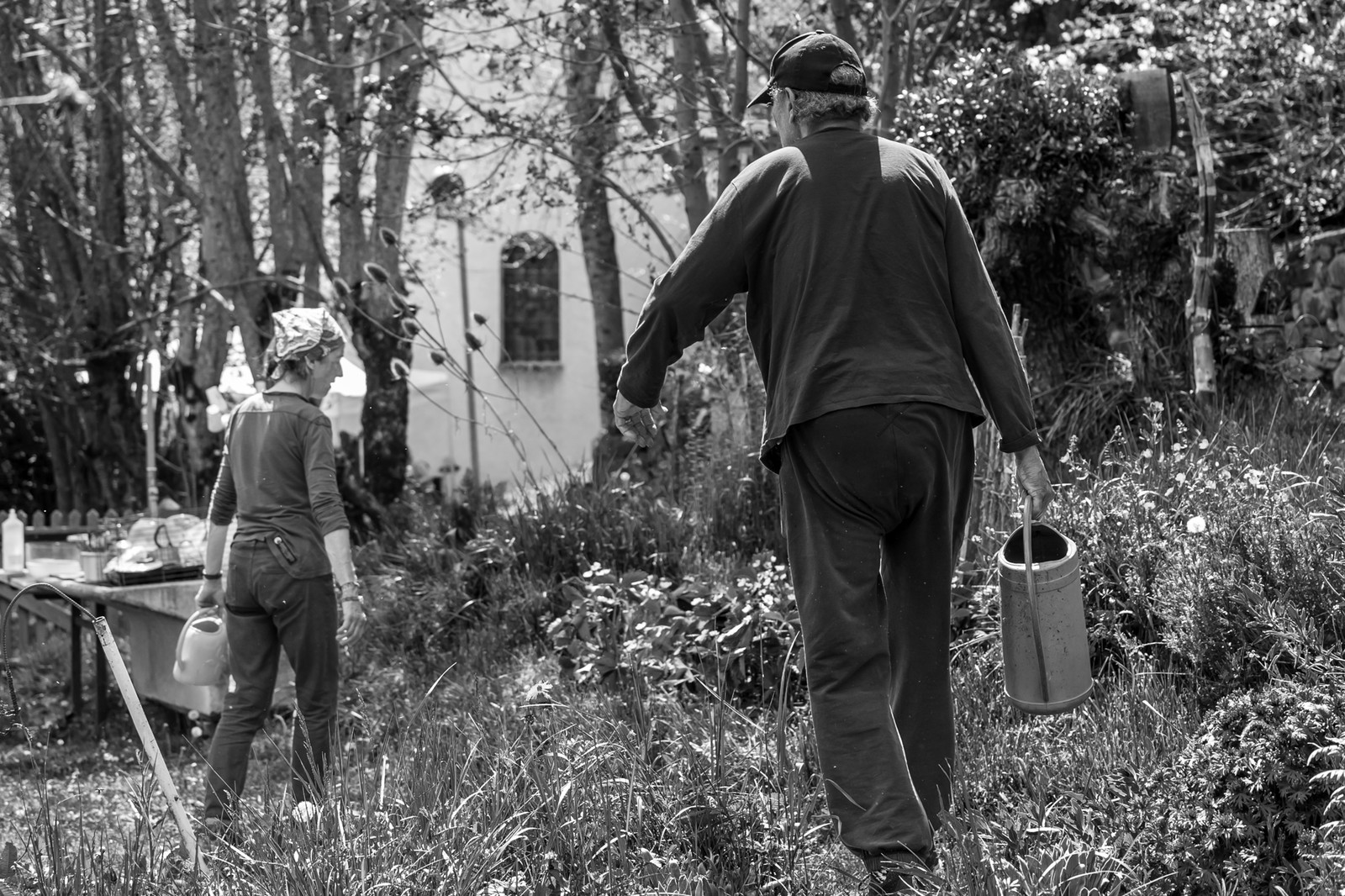 30 avril 2025 : Un oiseau en osier