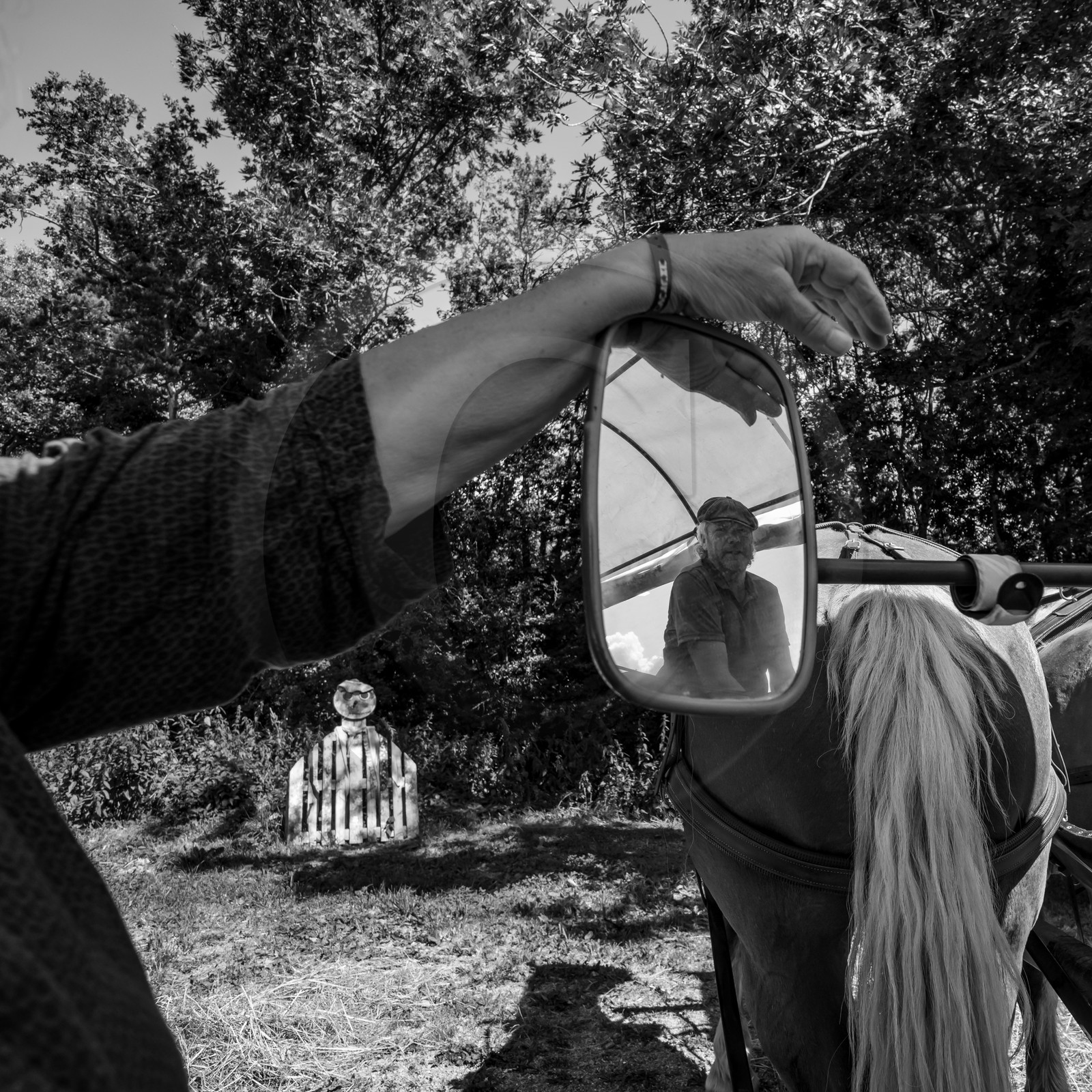 01 septembre 2021 : Promenade en cariole et contes