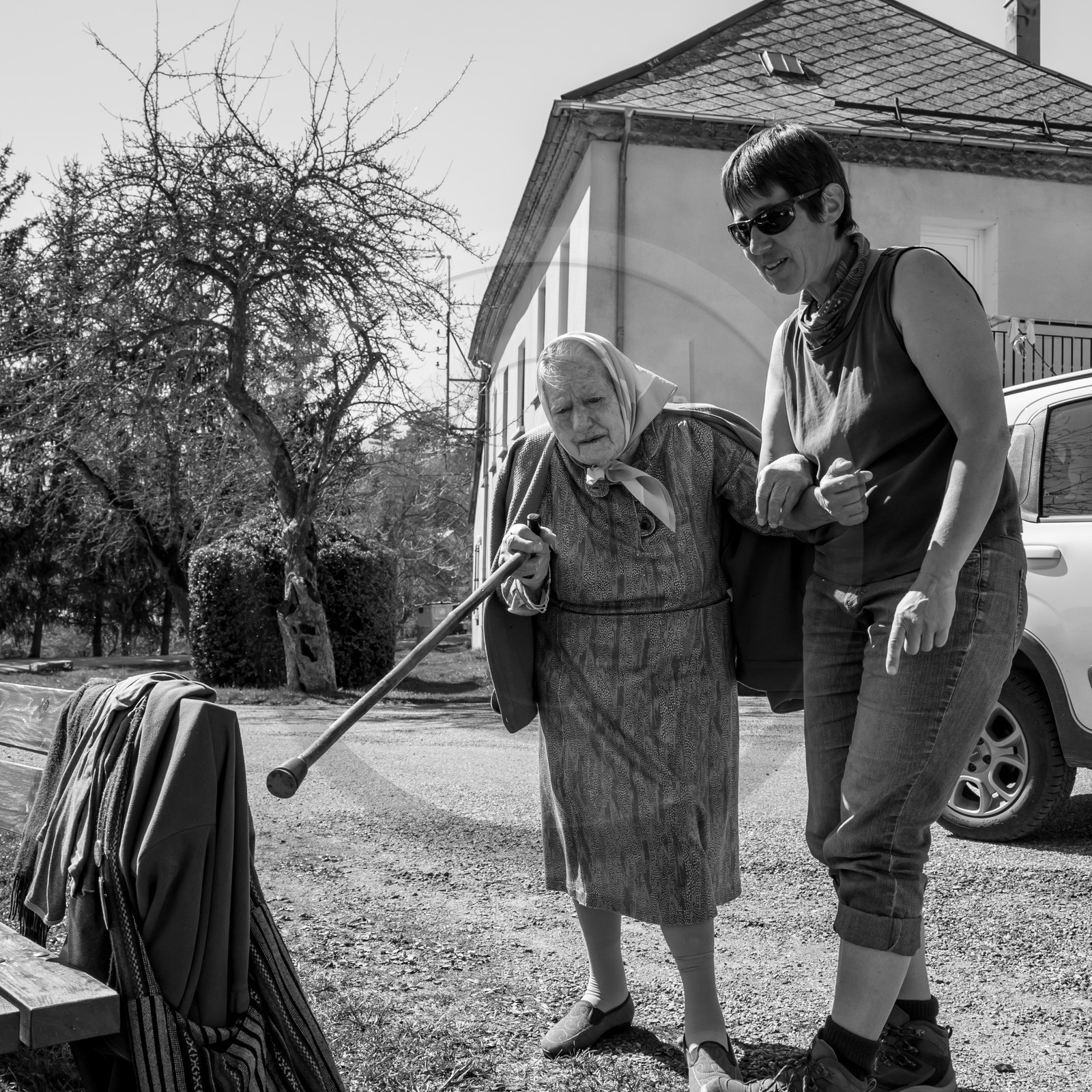 Nettoyage du terrain - Coupe du bois - 29 03 17