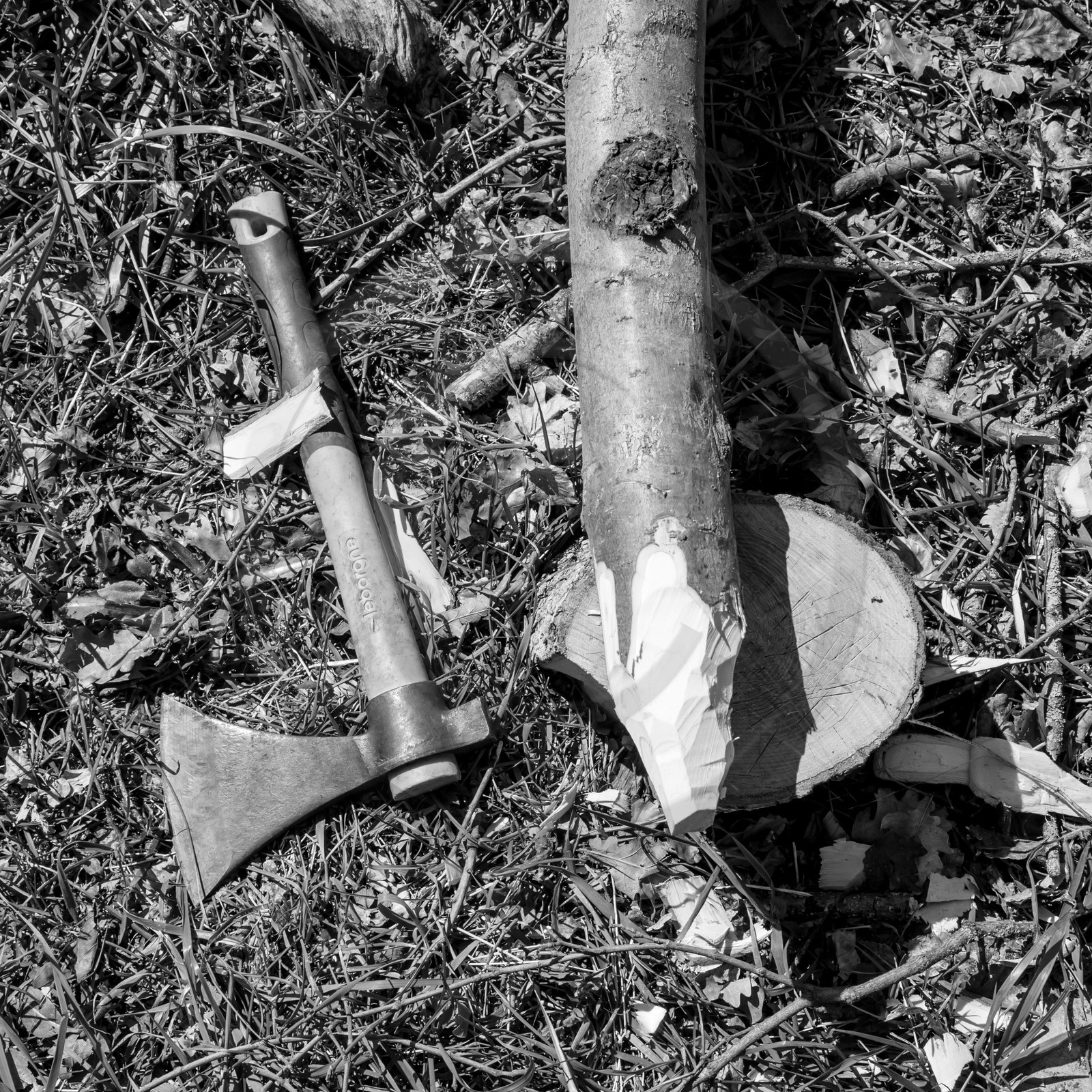 L'Ouort de Bénévent - 29 mars 2017 L'Ouort de Bénévent - 29 mars 2017