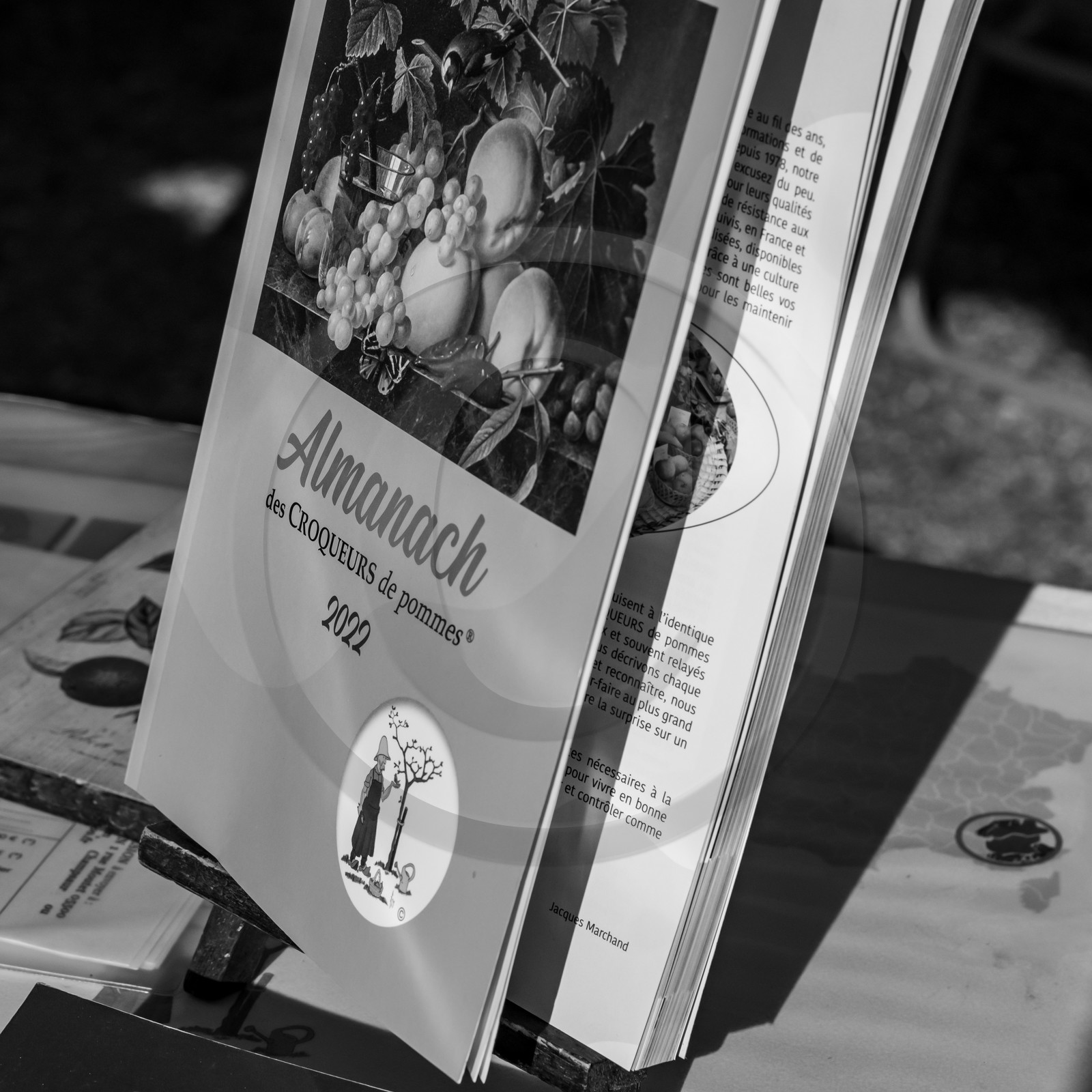 24 octobre 2021 : Fais ta soupe et ramène ta pomme