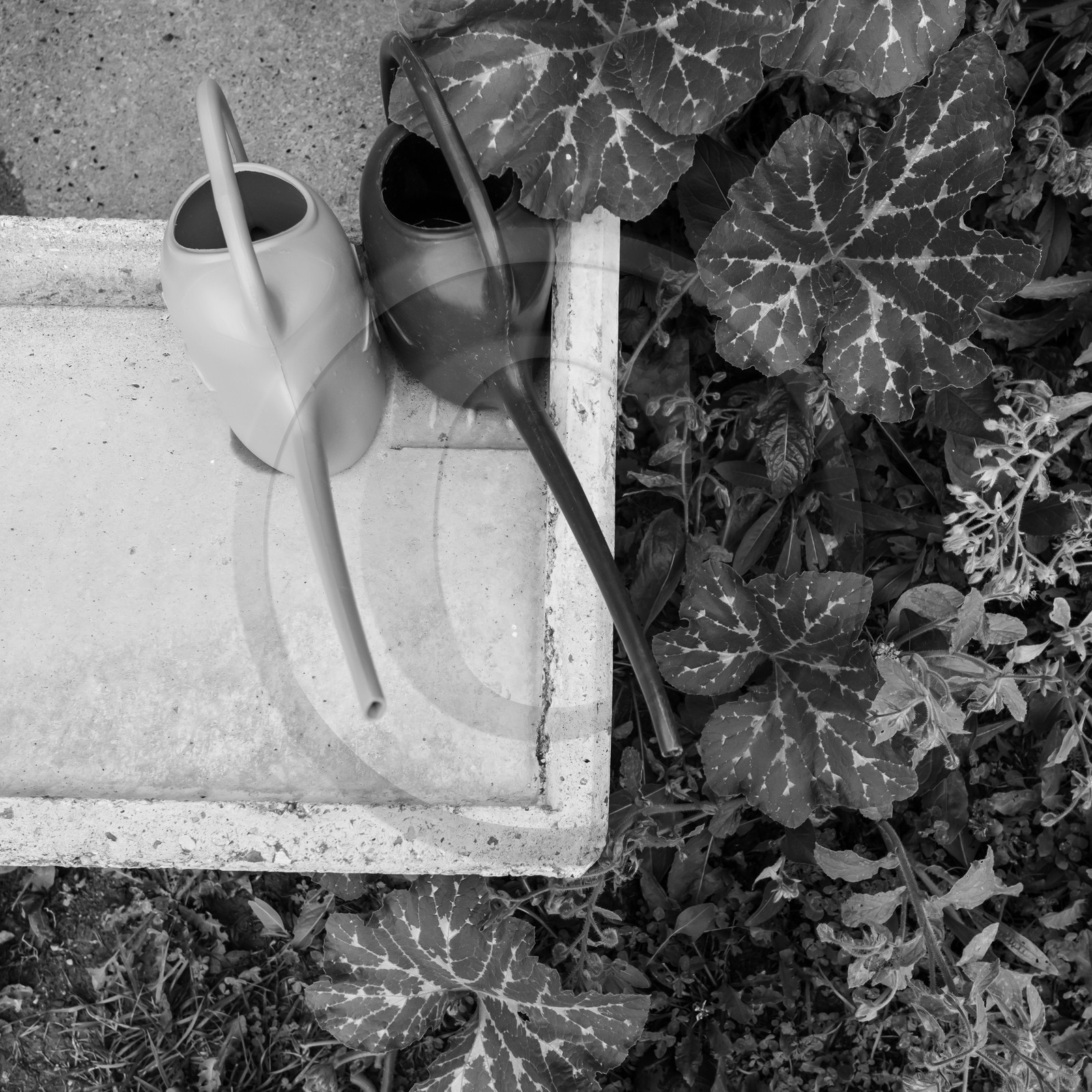 21 août 2019 : installation d'une oeuvre en bois flotté