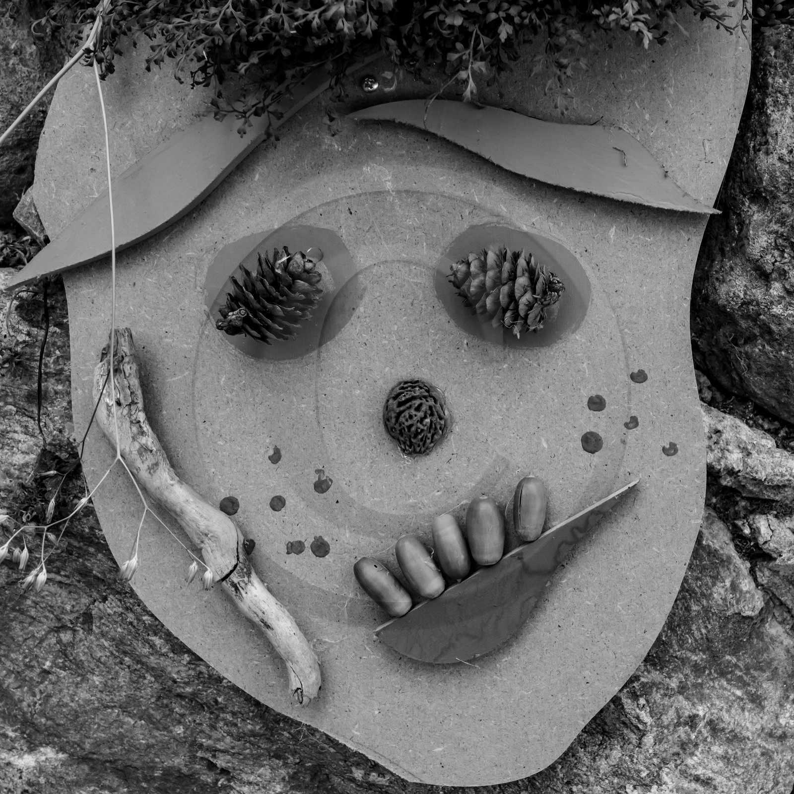 14 juillet 2021 : De la terre et des masques