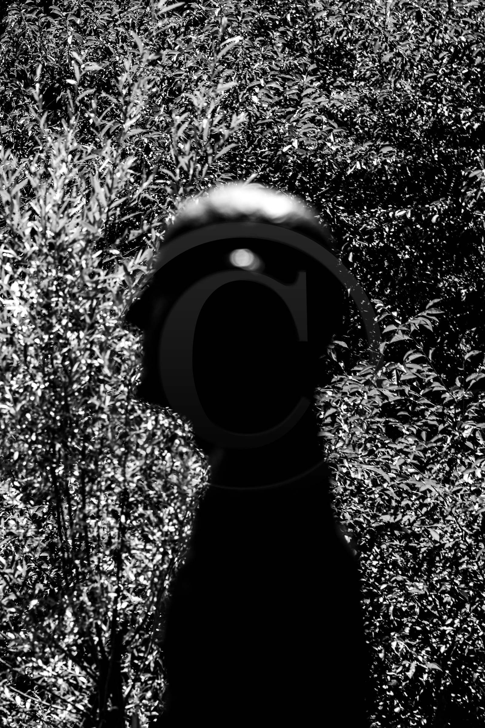 Exposition La forêt d'hommes, une création de Barbara Fougnon, artiste plasticienne