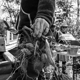 14 mai 2023 : Vide-Jardin