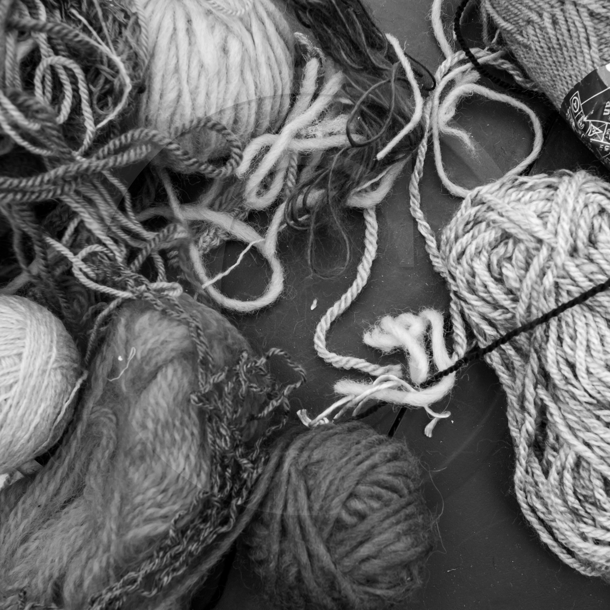 Atelier laine et promenade au jardin