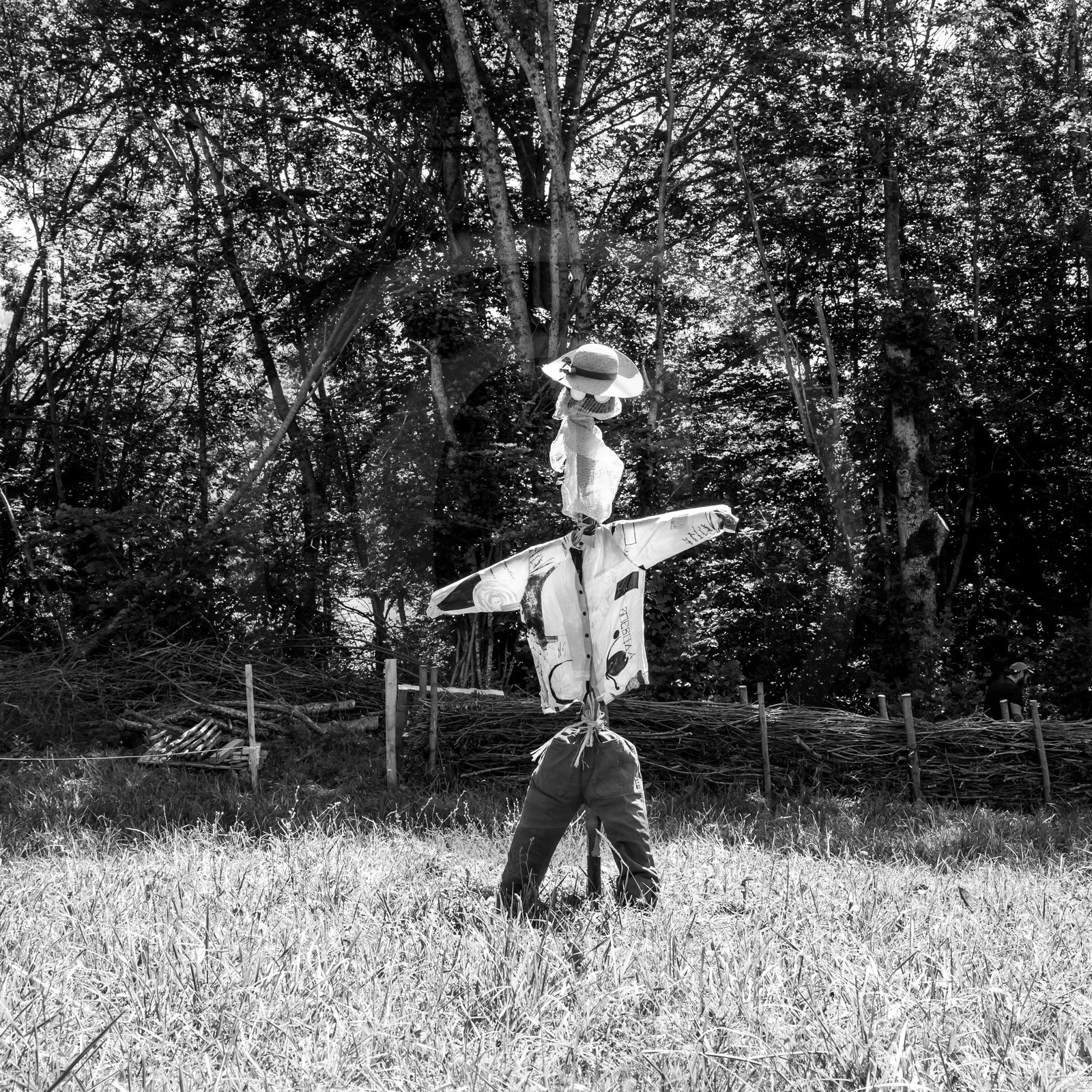 05 juillet 2017 - Installation épouvantails 05 juillet 2017 - Installation épouvantails