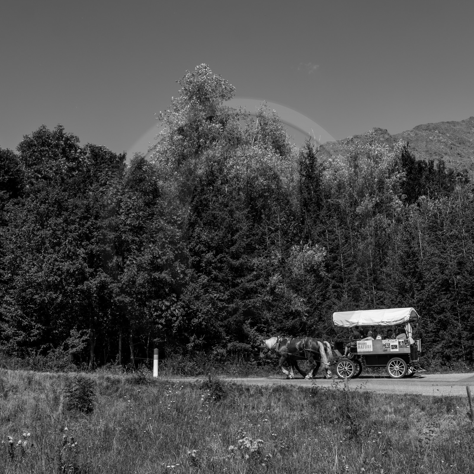 01 septembre 2021 : Promenade en cariole et contes 01 septembre 2021 : Promenade en cariole et contes