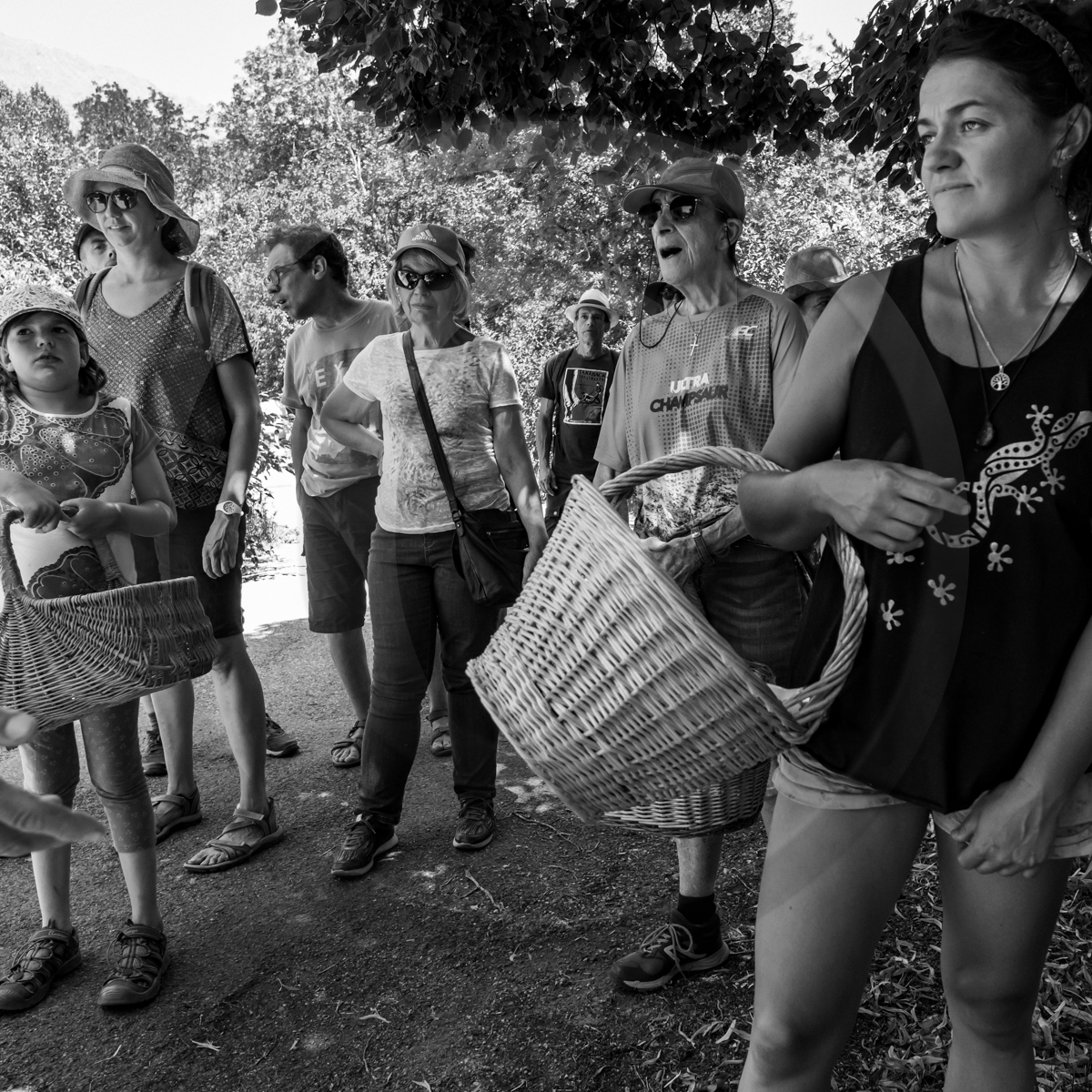 La cantine de Bernie