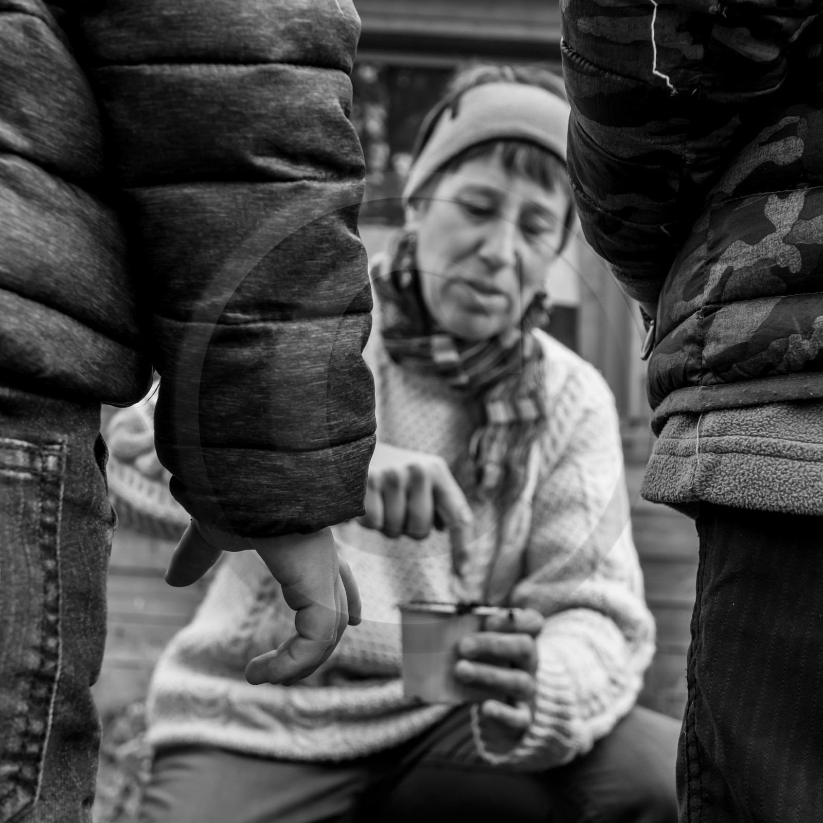 Semis, tournesols et jeux Semis, tournesols et jeux