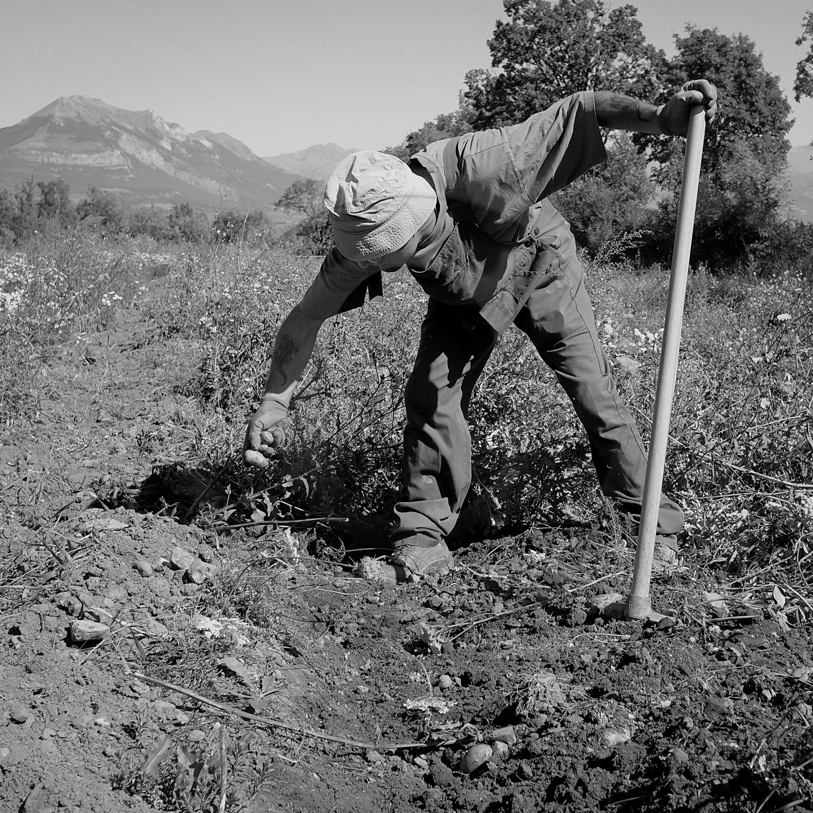 Stéphane Saint-Aubin, maraicher à Pelleautier