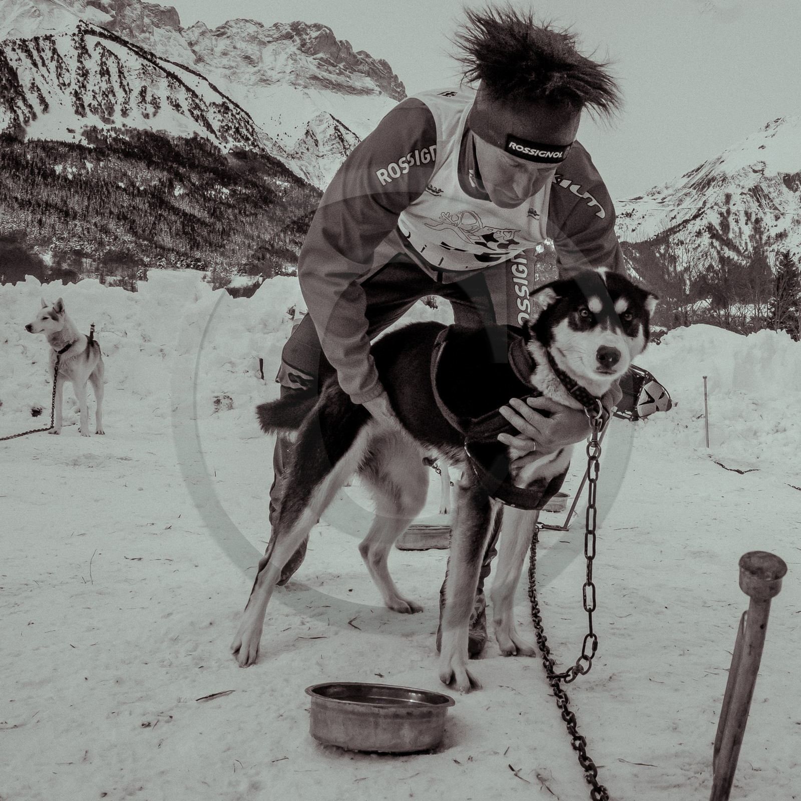 La Valgaude Traineau 2015