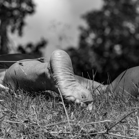 21 juillet 2021 : Sieste musicale avec Matthieu Duval